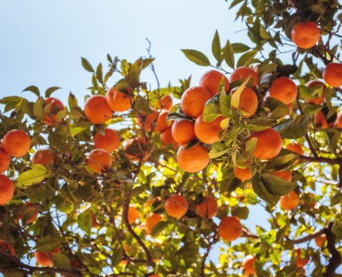 Voyage sur-mesure en Espagne: Découvrez l'Espagne autrement.