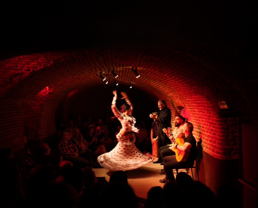 Spectacle de flamenco privé à Madrid