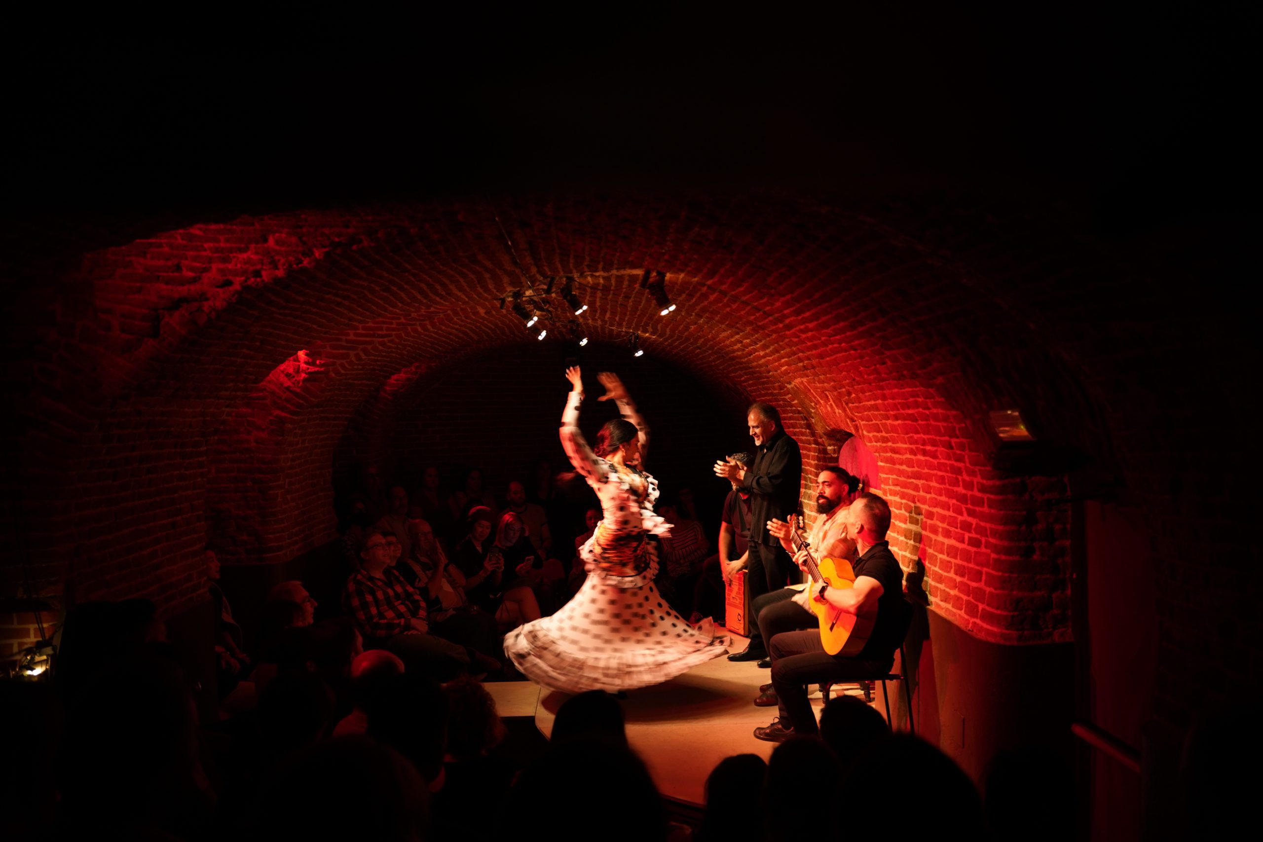 Spectacle de Flamenco