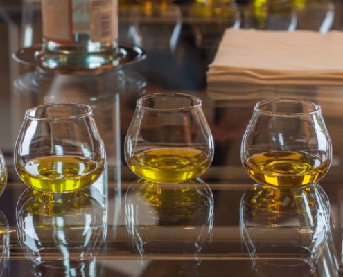 Cata de aceite de oliva Madrid