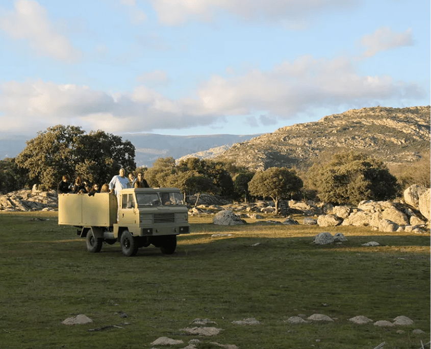Immersion dans un élevage de toros bravos