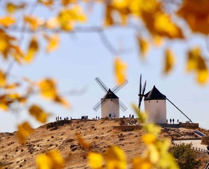 Excursión a los molinos de Don Quijote
