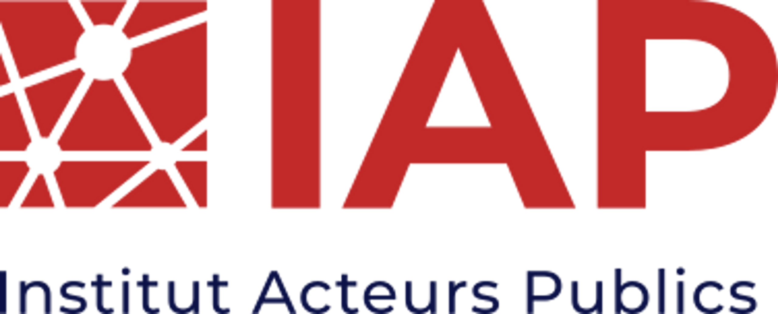 Institut Acteurs Publics clients logo Madrid Insólito