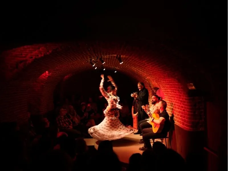 Spectacle de flamenco intimiste à Madrid