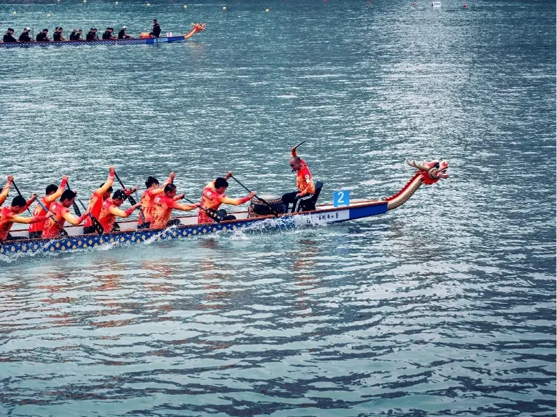 Initiation au Dragon Boat en équipe dans la Sierra de Madrid