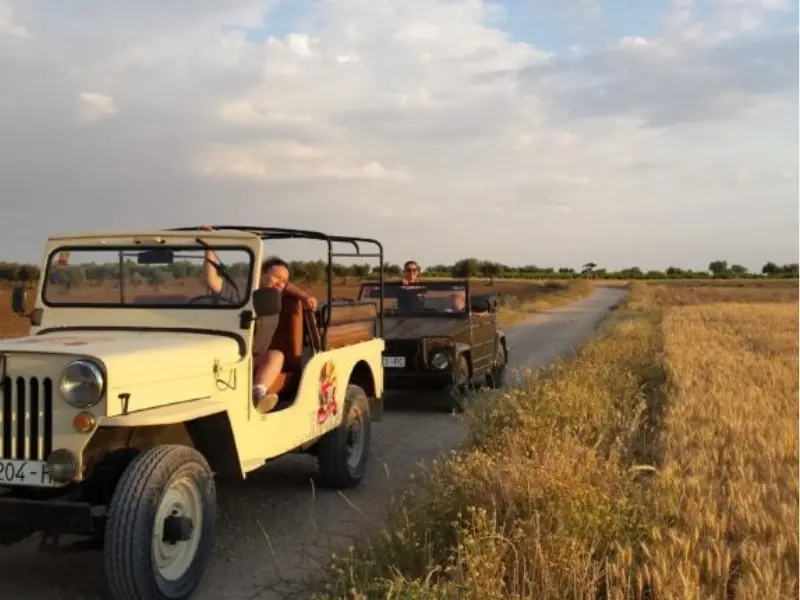 Excursion en 4x4 vintage à travers les vignobles et oliveraies de Madrid