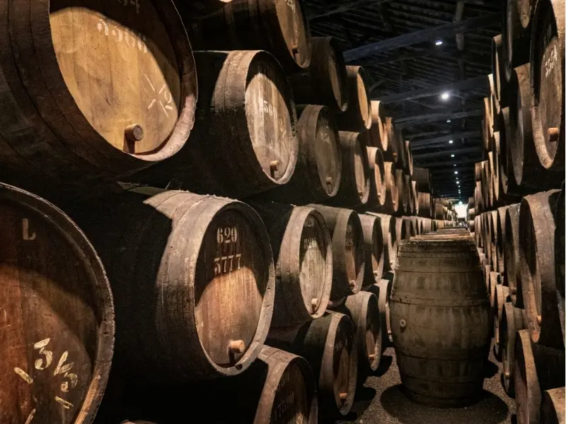 Visite de vignobles et dégustation de vins de Madrid